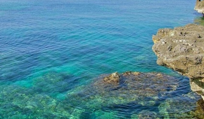 SALENTO Torre suda