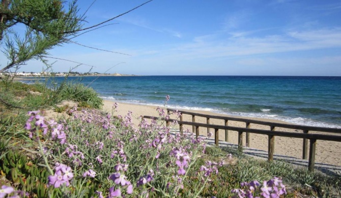 CURTI SALENTO