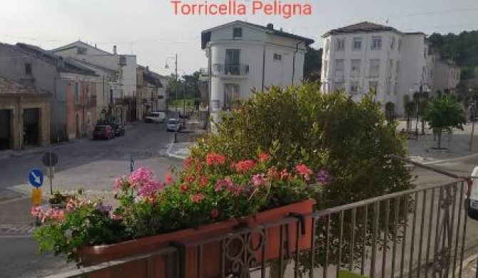la Casa sul Corso -- alloggio turistico -- appartamento open space