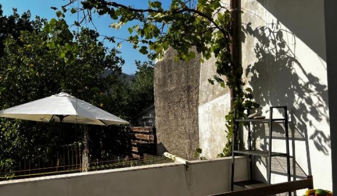 Robertino's Houses