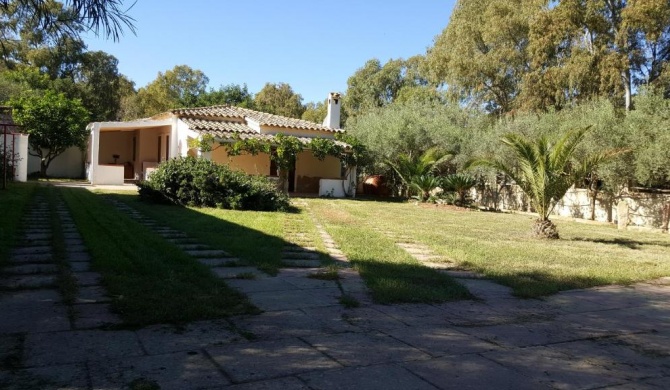 Sagittario House