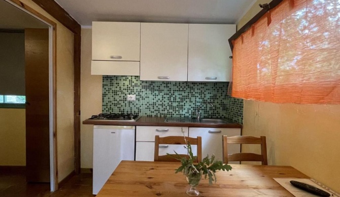 Snug mobile home in Toscana with garden