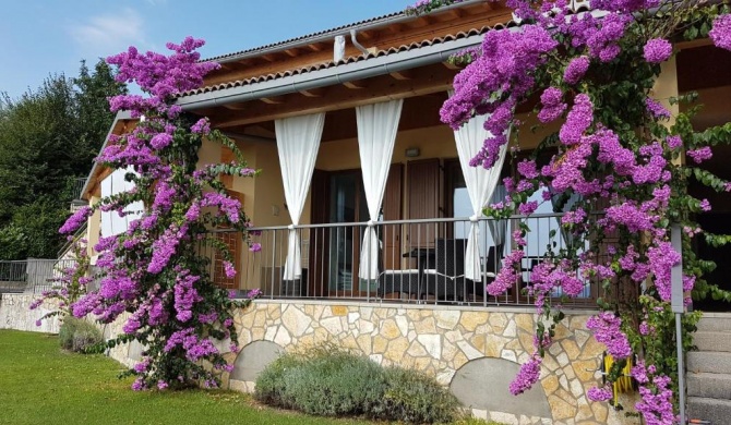 Apartment San Pietro