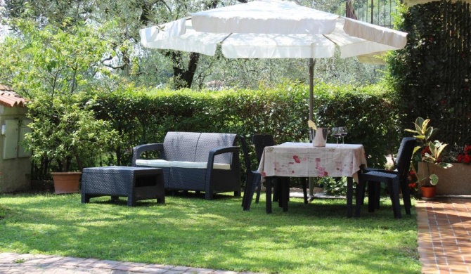 Relax in the Olive Grove