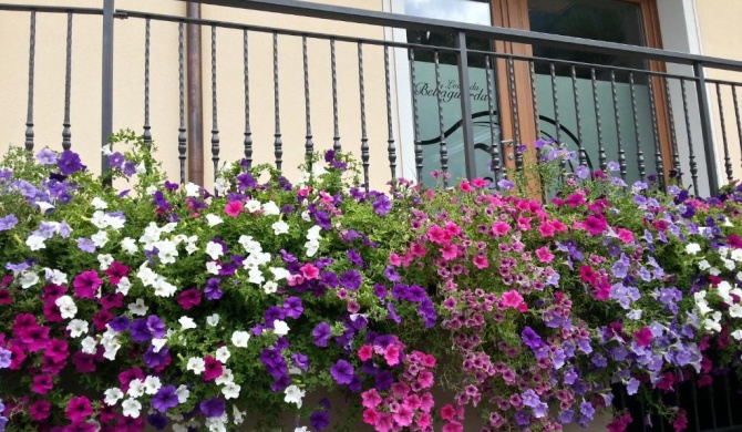 Locanda Bellaguarda B&B