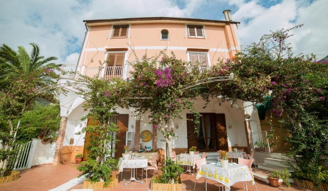 B&B Bouganville