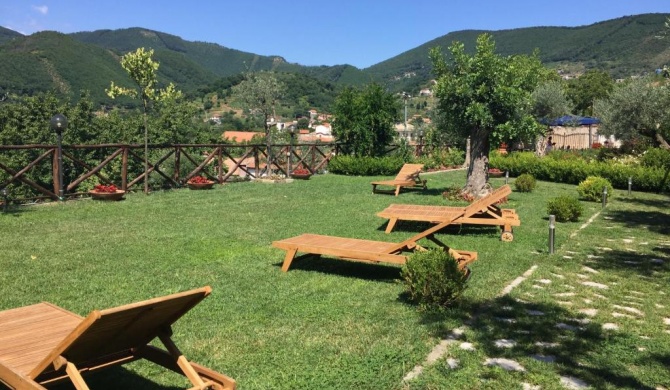 B&B Fior Tramonti