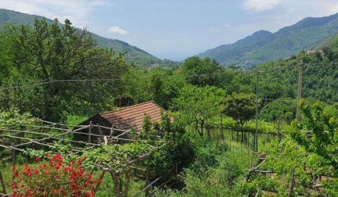 Casa mia (amalfi coast)