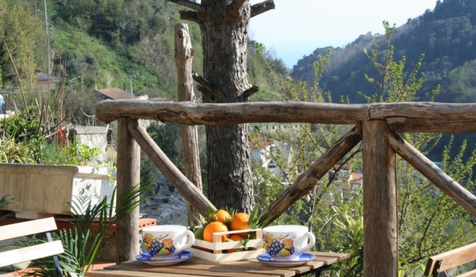 Casa Sclavo