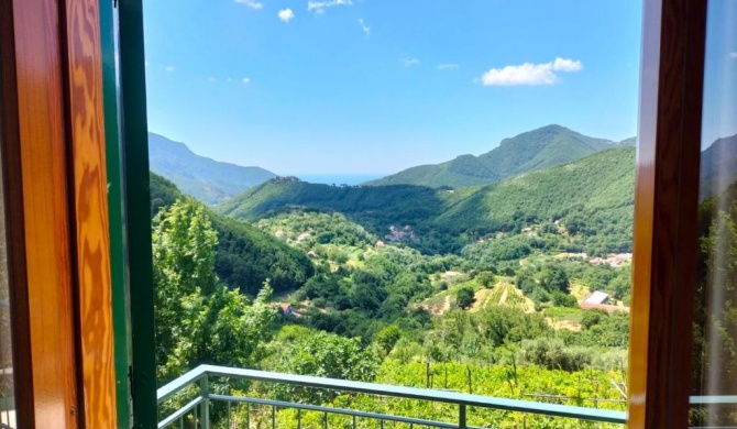 La Casa in Vigna