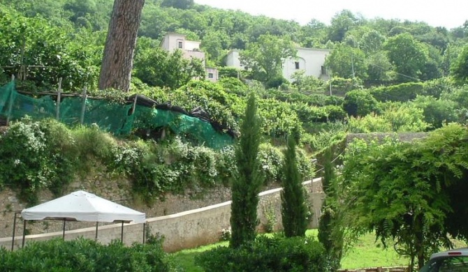 Pietra Rosa