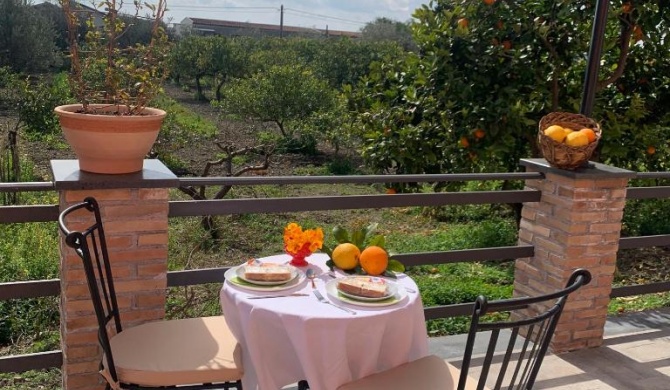 La Pomelia B&b Sofia