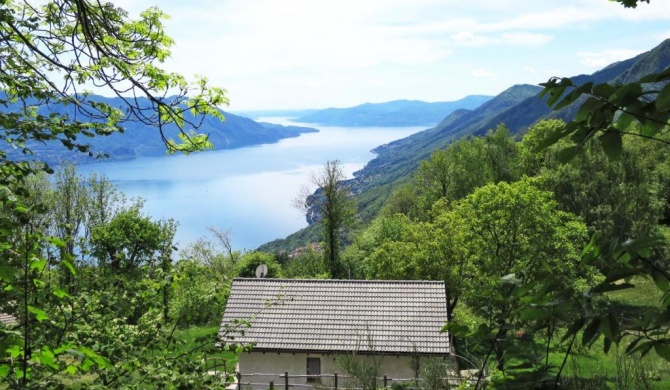 Locazione Turistica Baita Checc