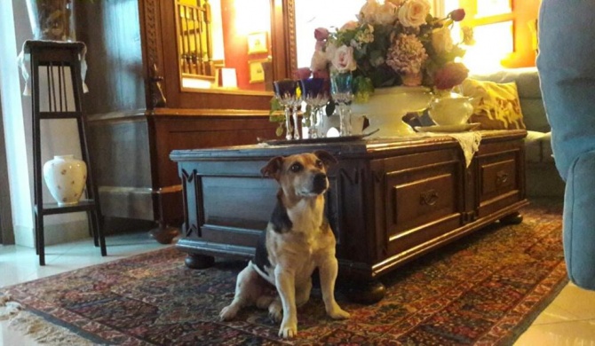 B&b Silvana