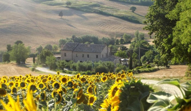 "La Casa degli ulivi Art B&B"