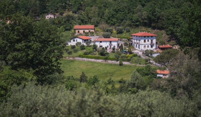 Agriturismo La Valle degli Ulivi