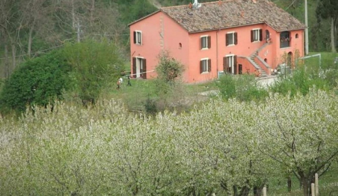 Holiday Home in Tredozio with Garden BBQ Parking