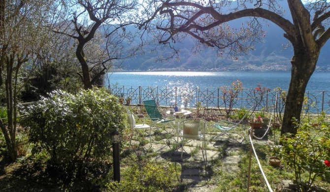 Island Garden