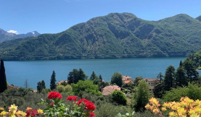 La Dolce Vista