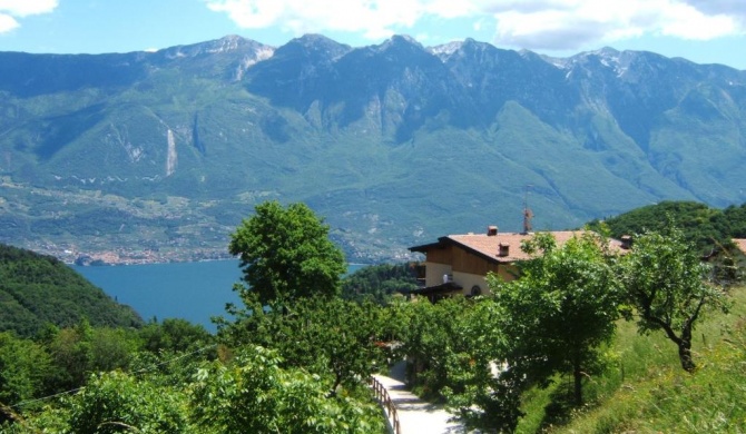 Agriturismo La Zangola