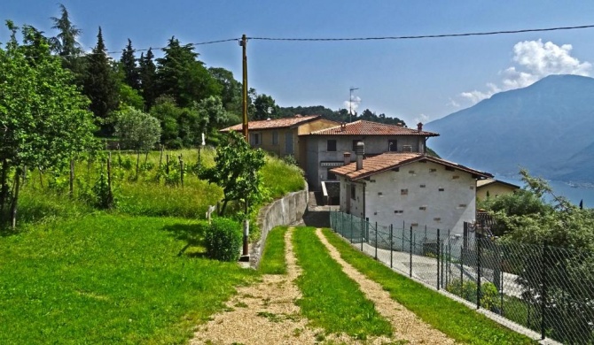 Casa Giacomina garden and Lake view by Gardadomusmea