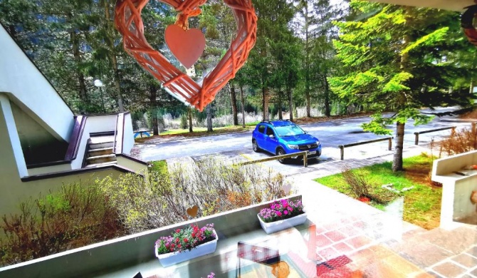 DaPolo - Cosy appartment in Val di Fassa