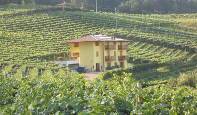 Agritur al Vigneto