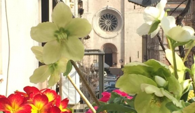 B&B Homer Trento