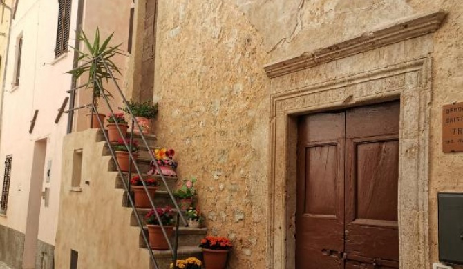 Twins's Storical Apartment +5pers 70mq