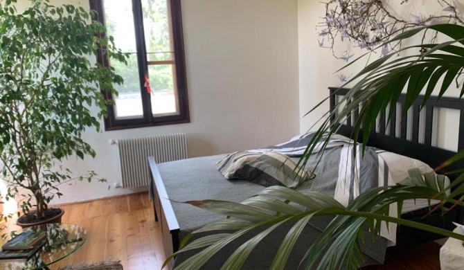 Villa Sofie
