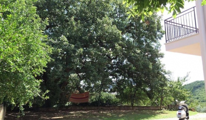 La Grande Quercia