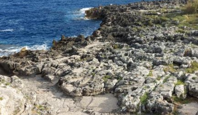 VICO GROTTA Serra Marina