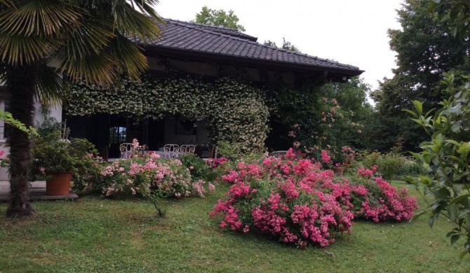 Le querce