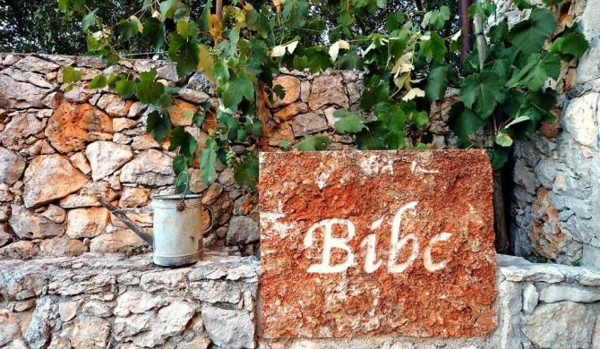 Bibc Wine & Holiday