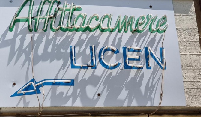 LICEN AFFITTACAMERE