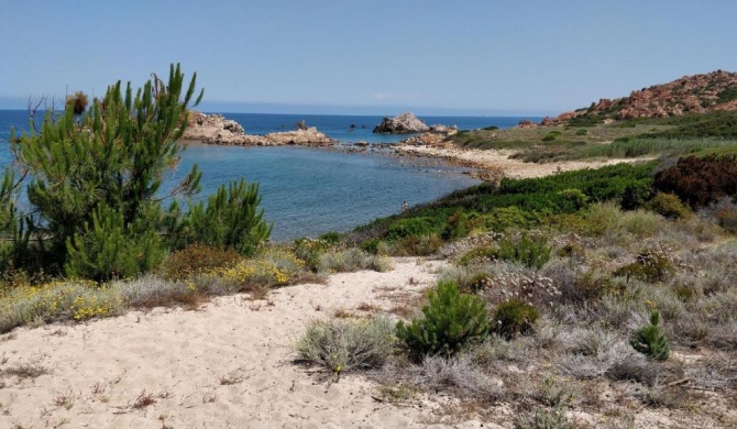Sardegna per 5