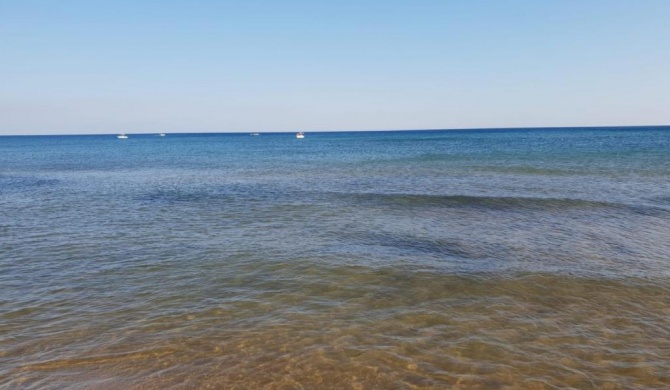 Triscina 83