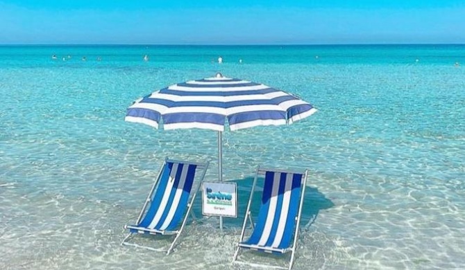 Monolocale economy a 10m spiaggia