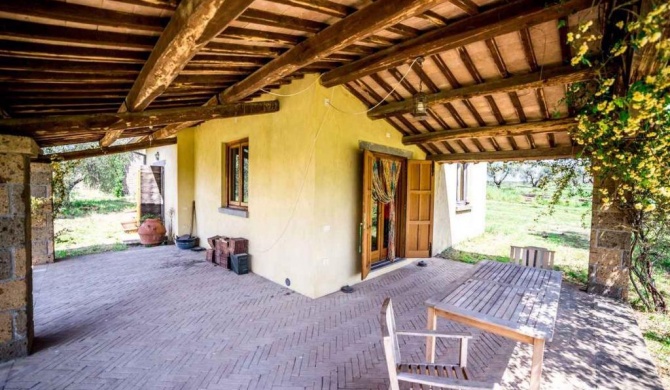 Holiday home in Tuscania VT/Latium 22377