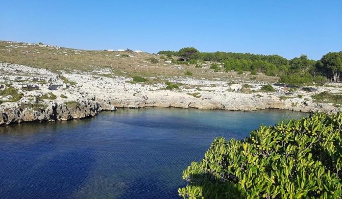 B&B IL PALOMBARO