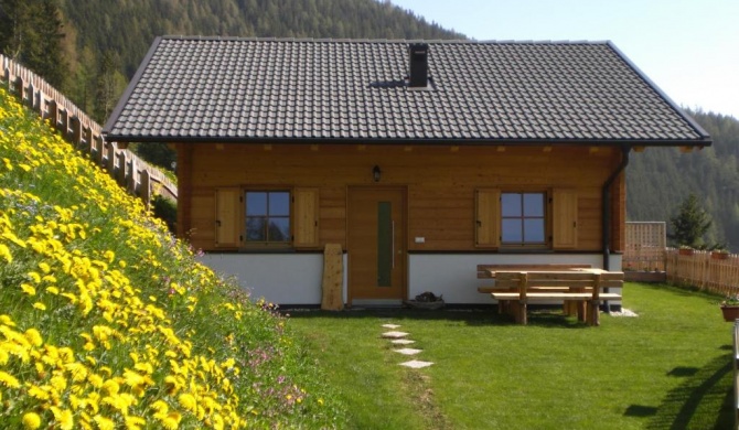 Chalet Niederhaushof