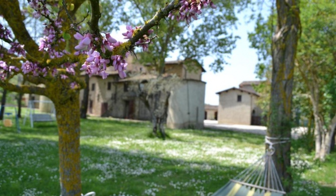 Agriturismo Nestore
