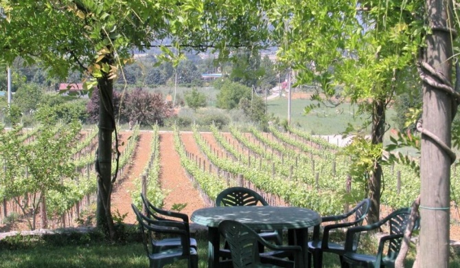 Apartment in an authentic farmhouse centrally located on a wine estate