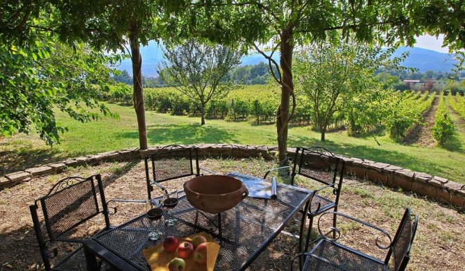 Attractive apartment in a traditional farmhouse on the estate near Perugia