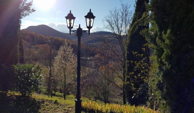 Bosco ad Antico Casale '700