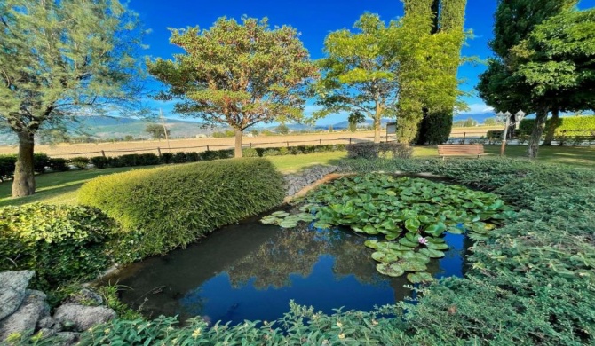 Amazing contemporary Villa with pool - Italian style Spelloissima - Sleeps 11