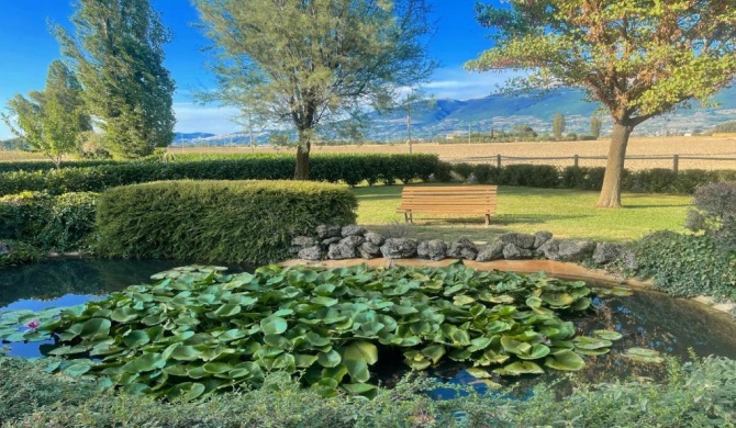 Spello By The Pool - Sleeps 11 with large private pool, meditation park - exc