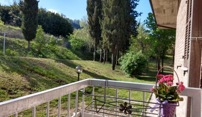 B&B IL TORCHIO-URBINO
