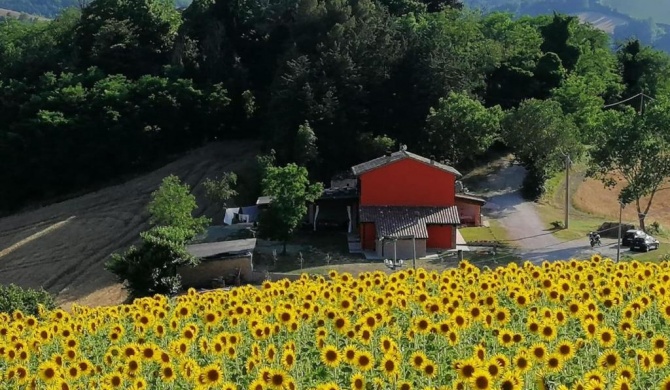 Cozy holiday home in the charming Urbino countryside