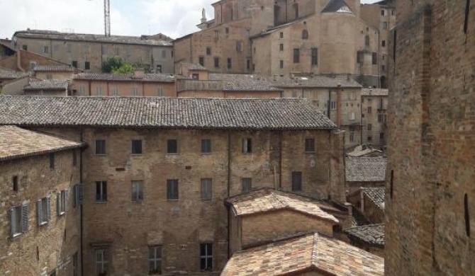 Via Barocci 34